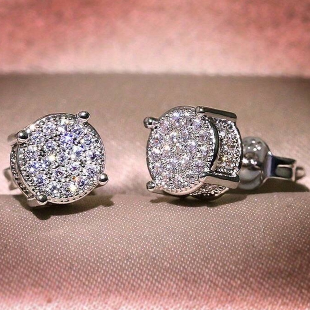 Elegant Silver Stud Earrings - Picture 1 of 1